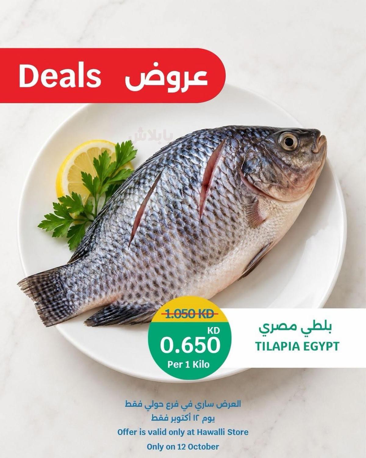 عروض الاسماك من سيتى هايبر