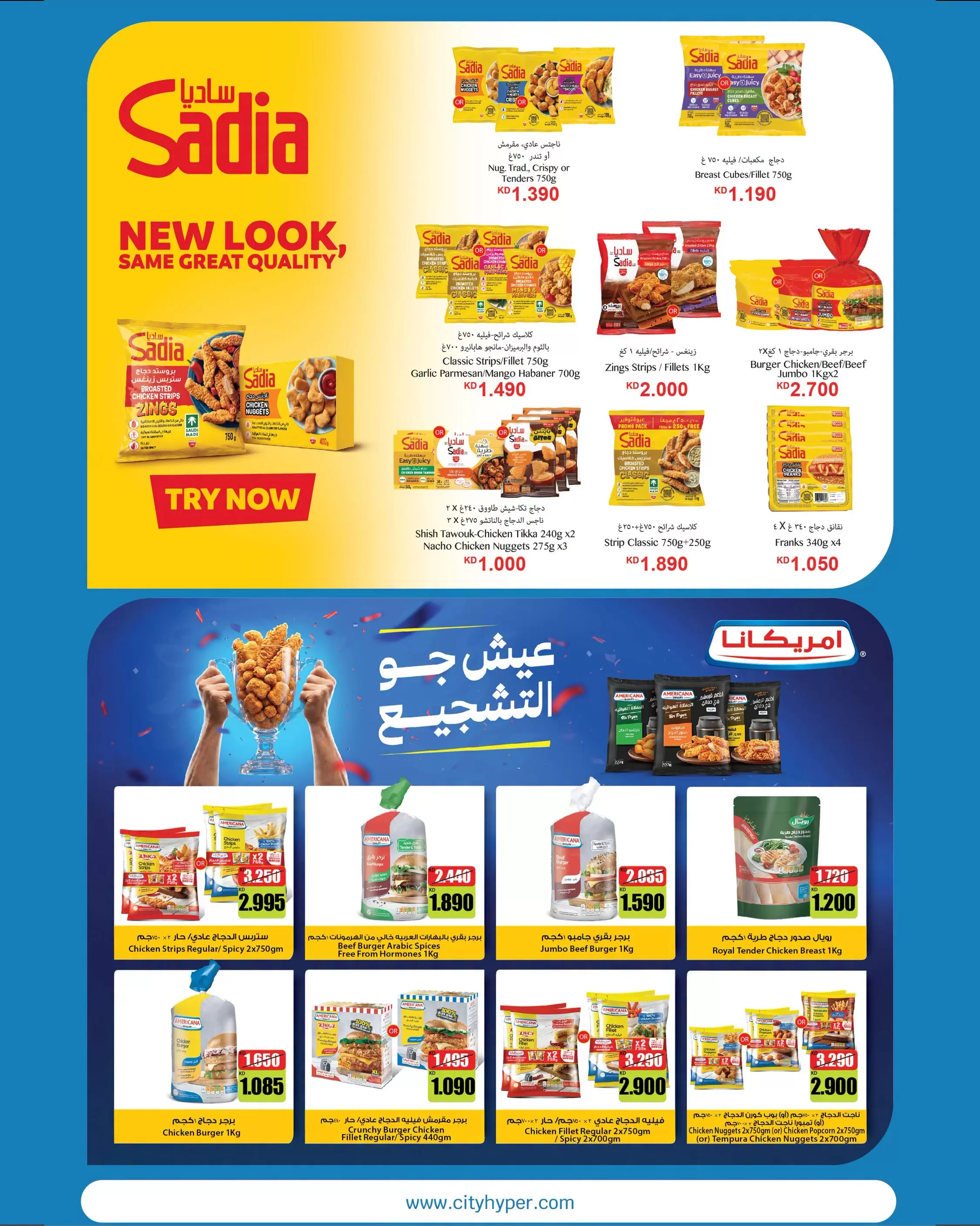 صفحة 14