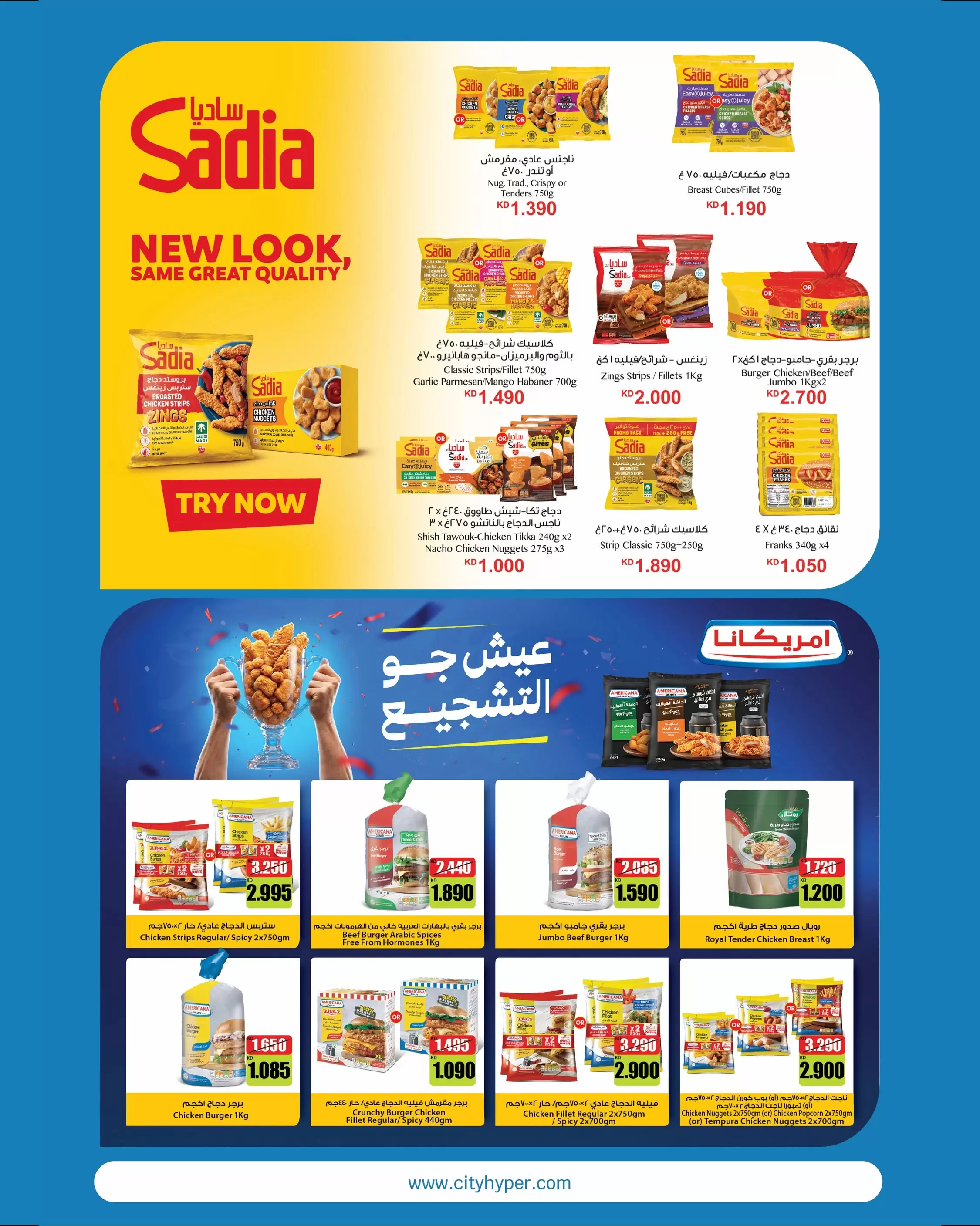 صفحة 8
