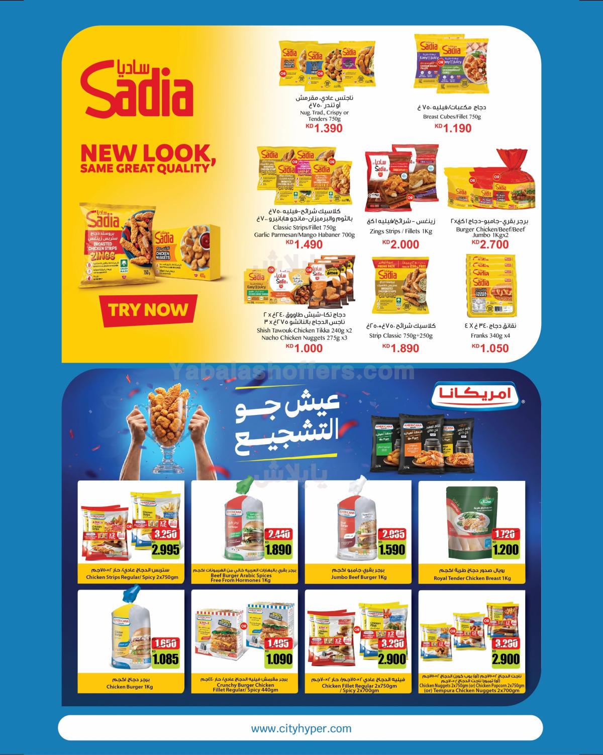 صفحة 8