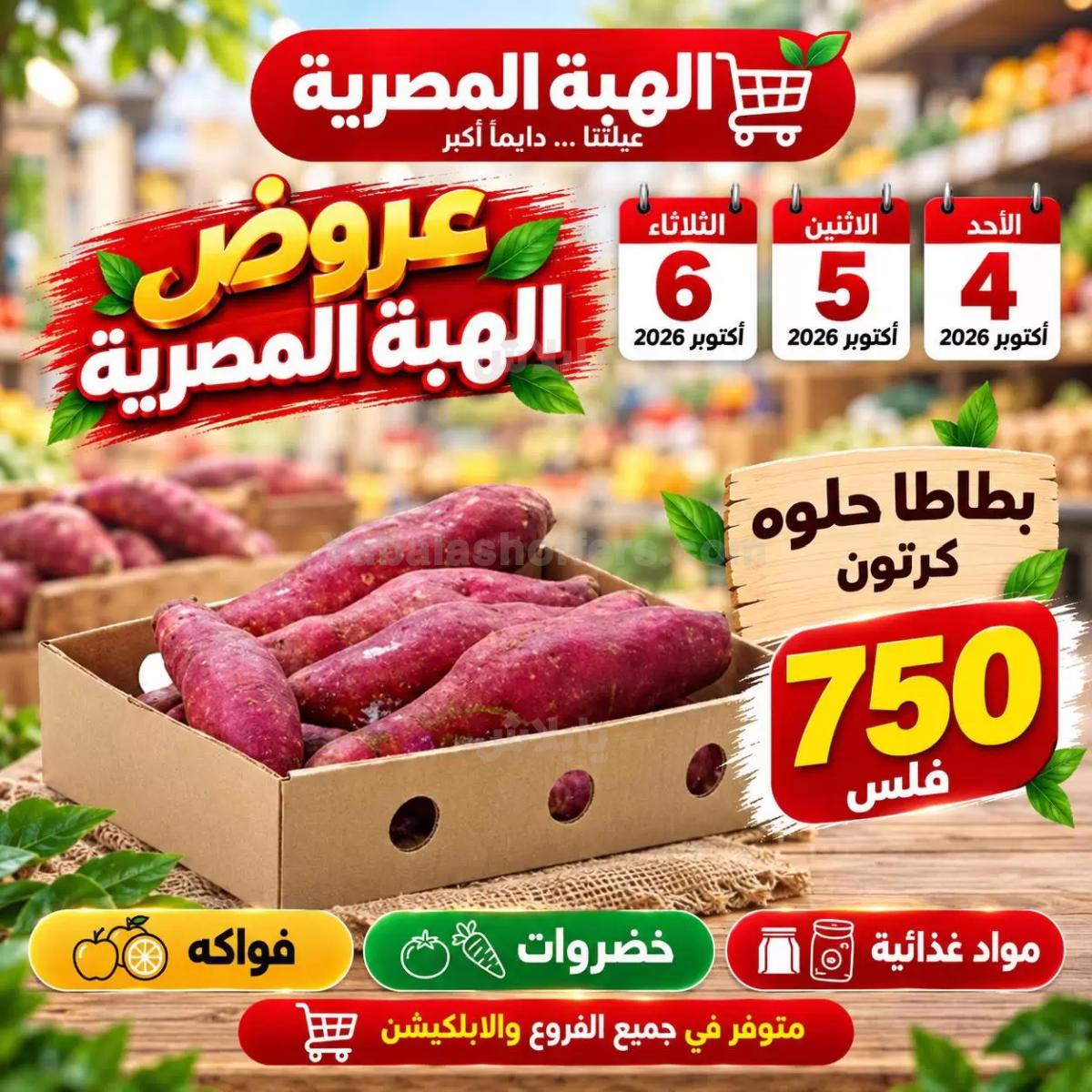صفحة 2