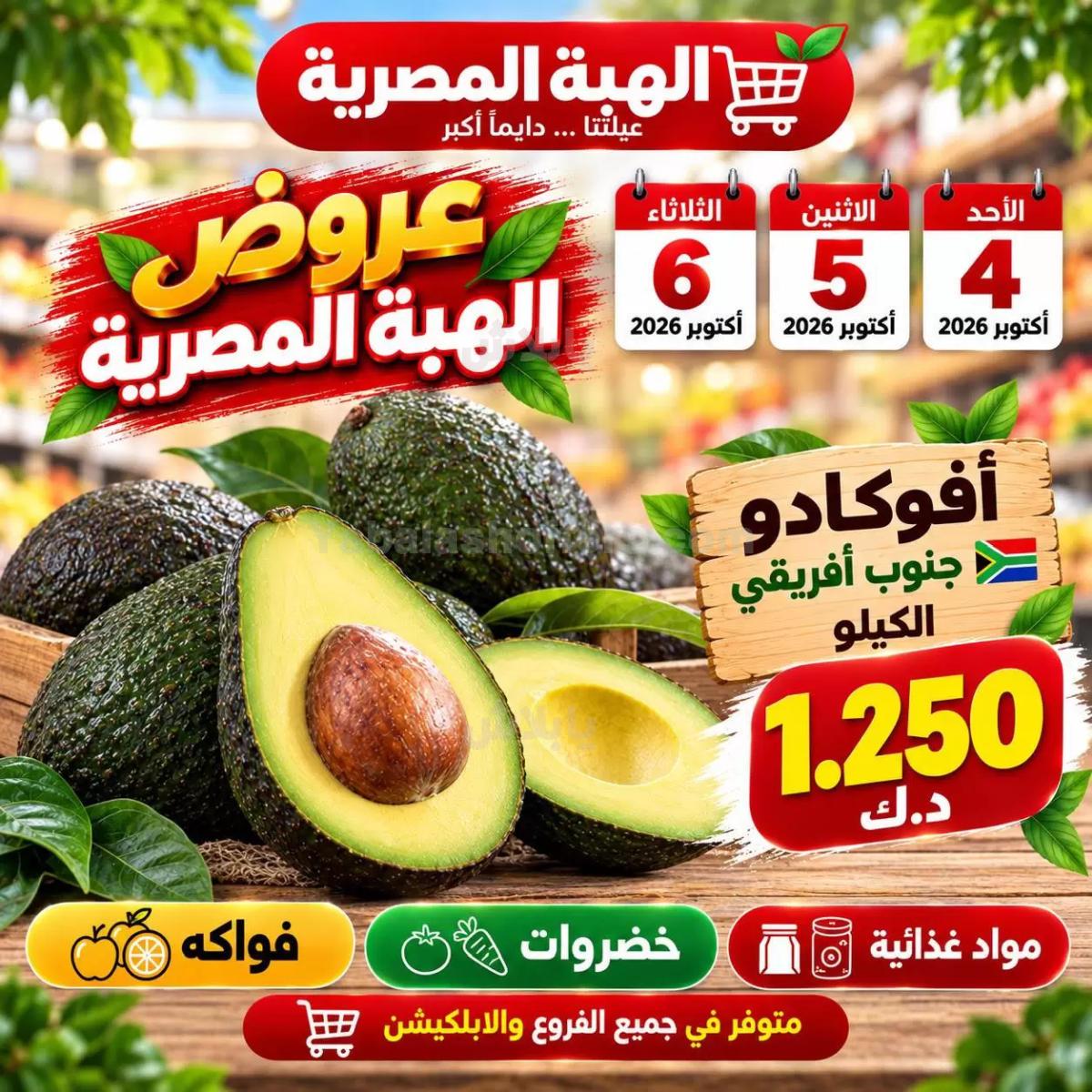 صفحة 3