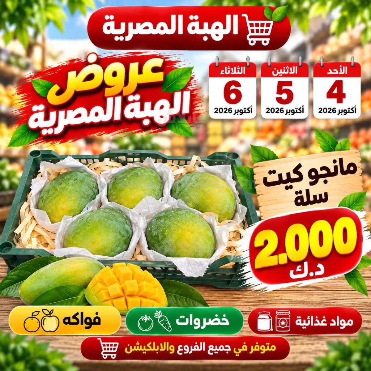 صفحة 4