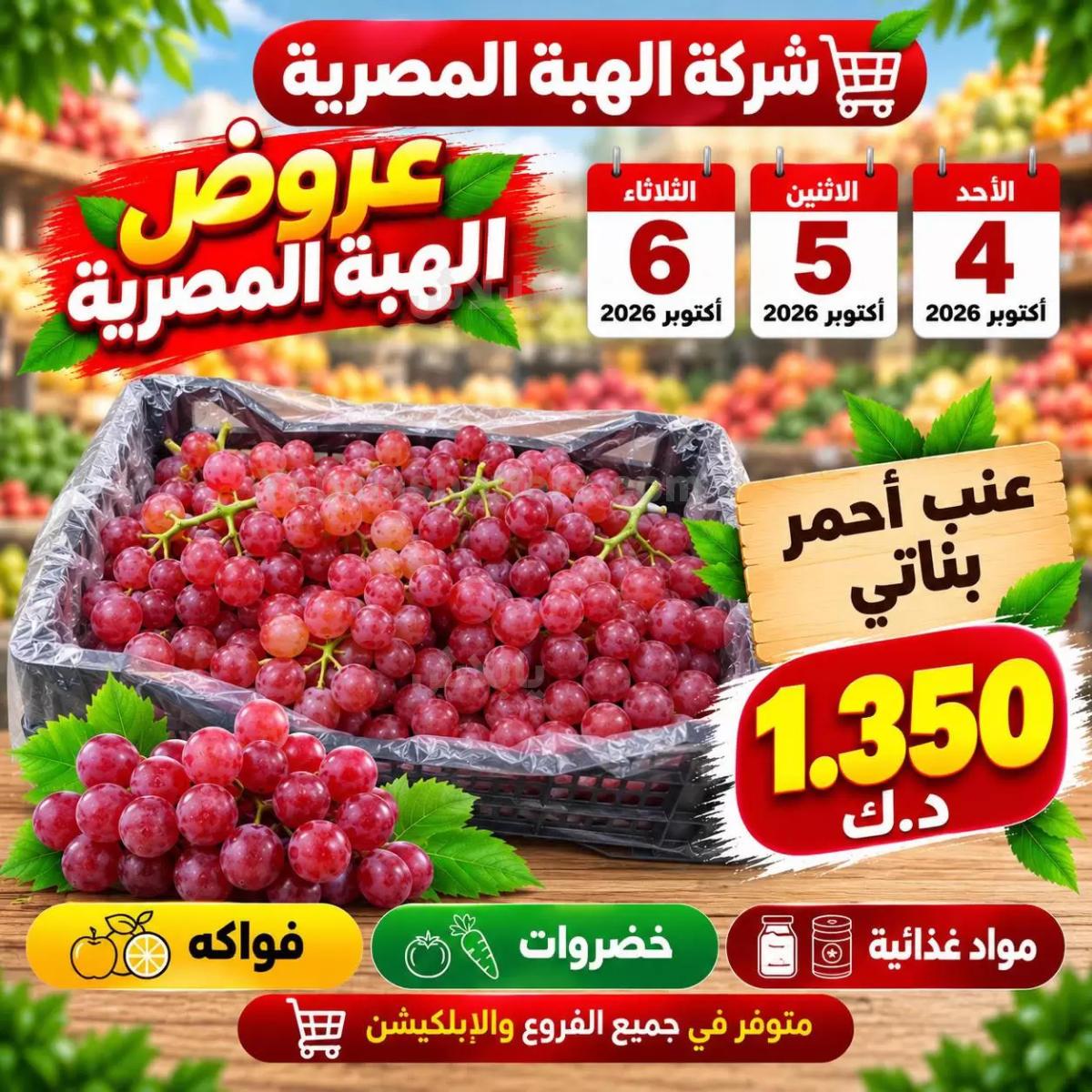 صفحة 5