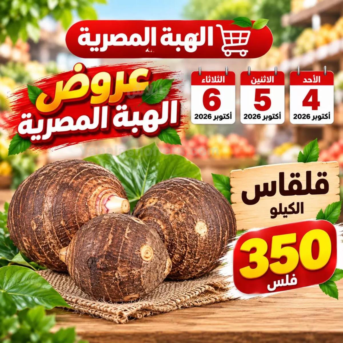 صفحة 7