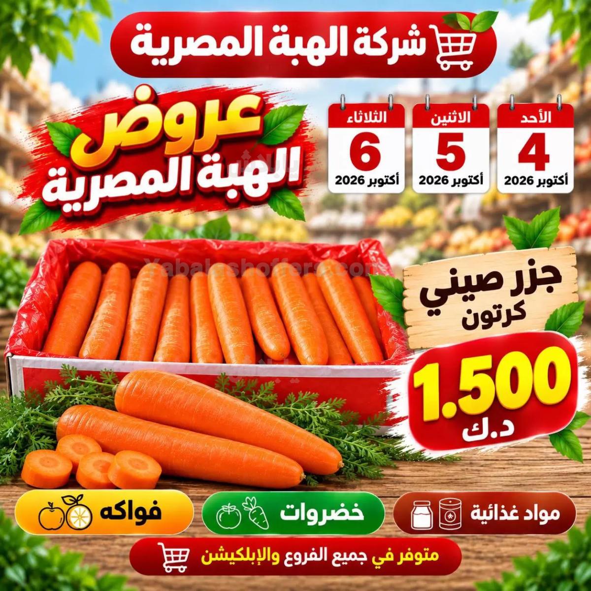 صفحة 8