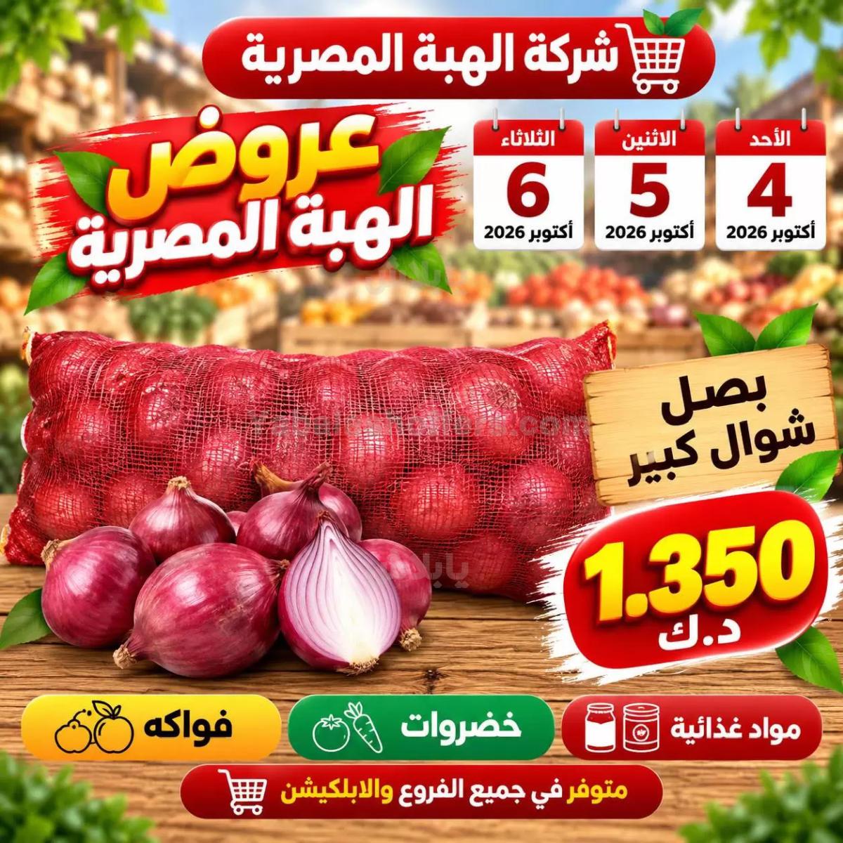 صفحة 10