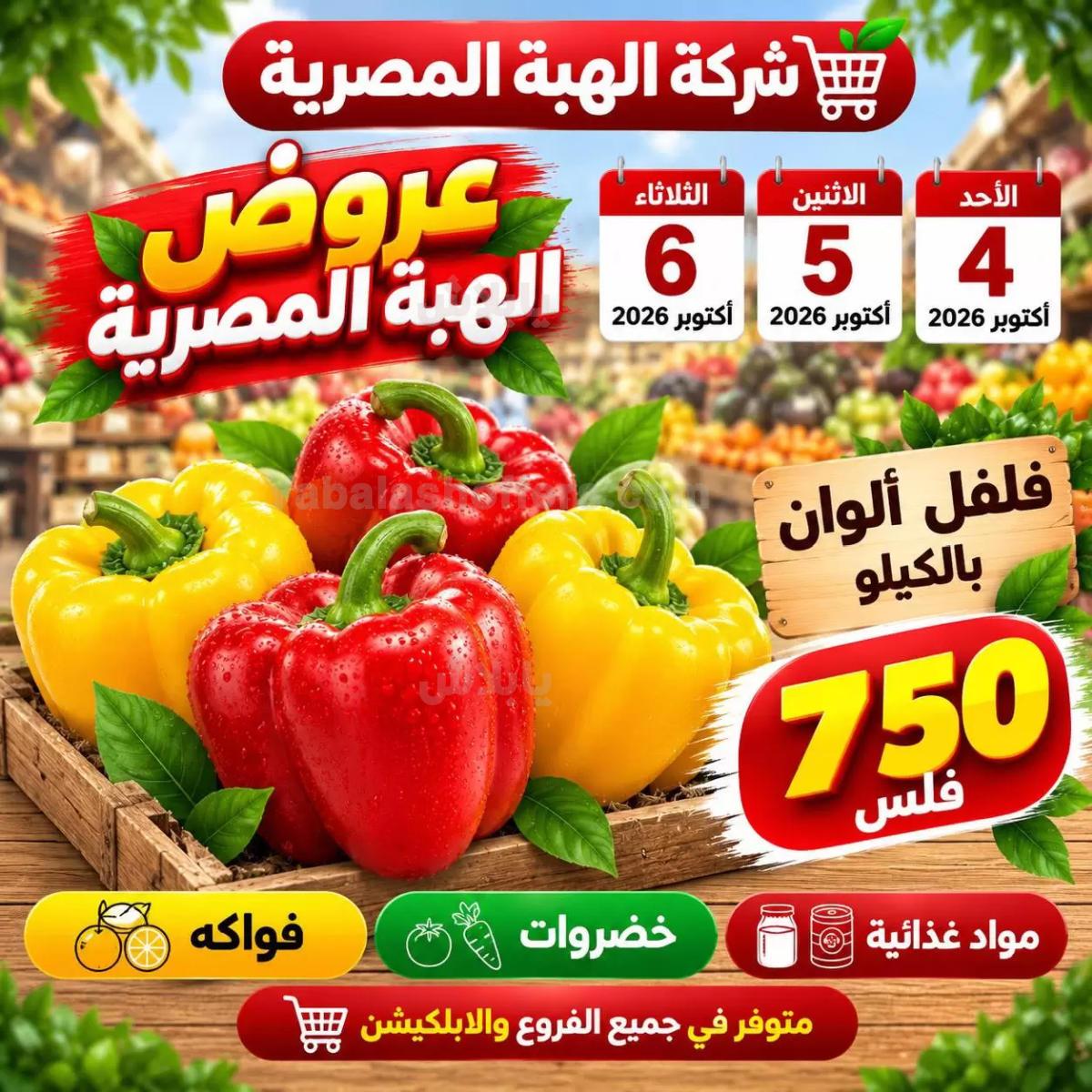 صفحة 11