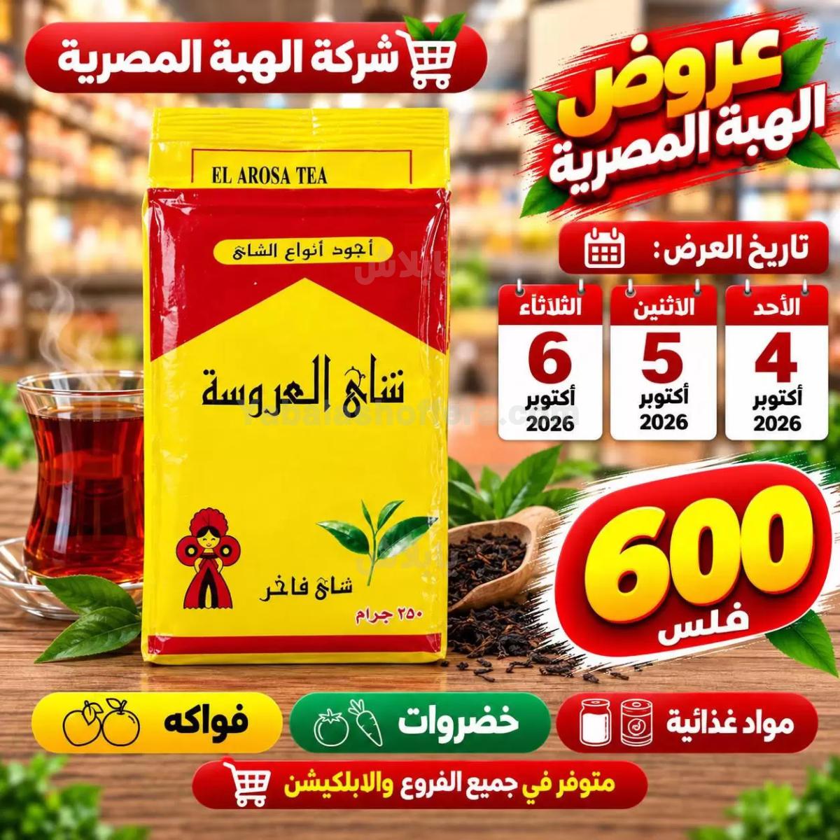 صفحة 13