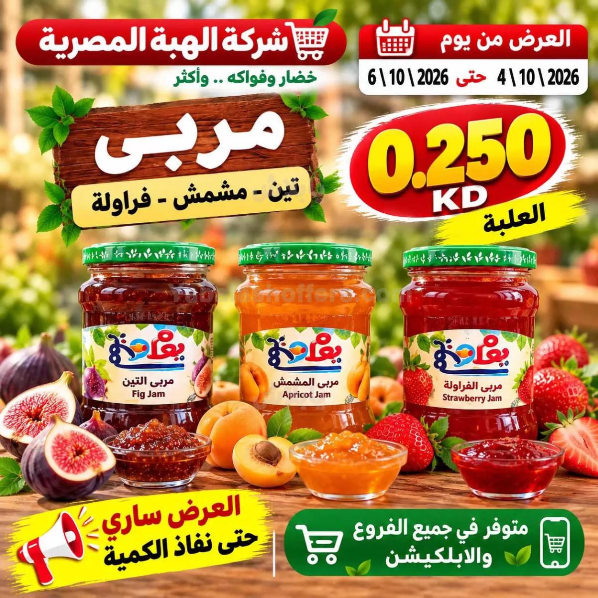 صفحة 15
