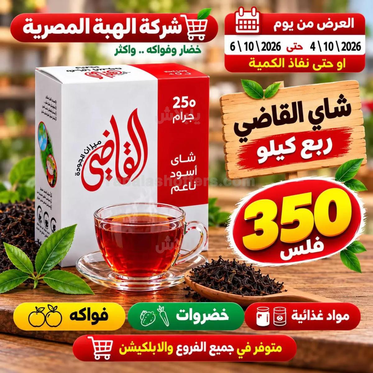 صفحة 16