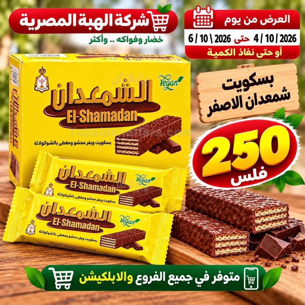 صفحة 17