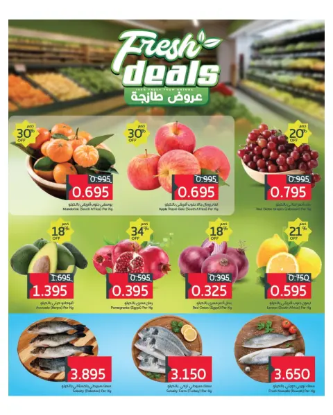 صفحة 11