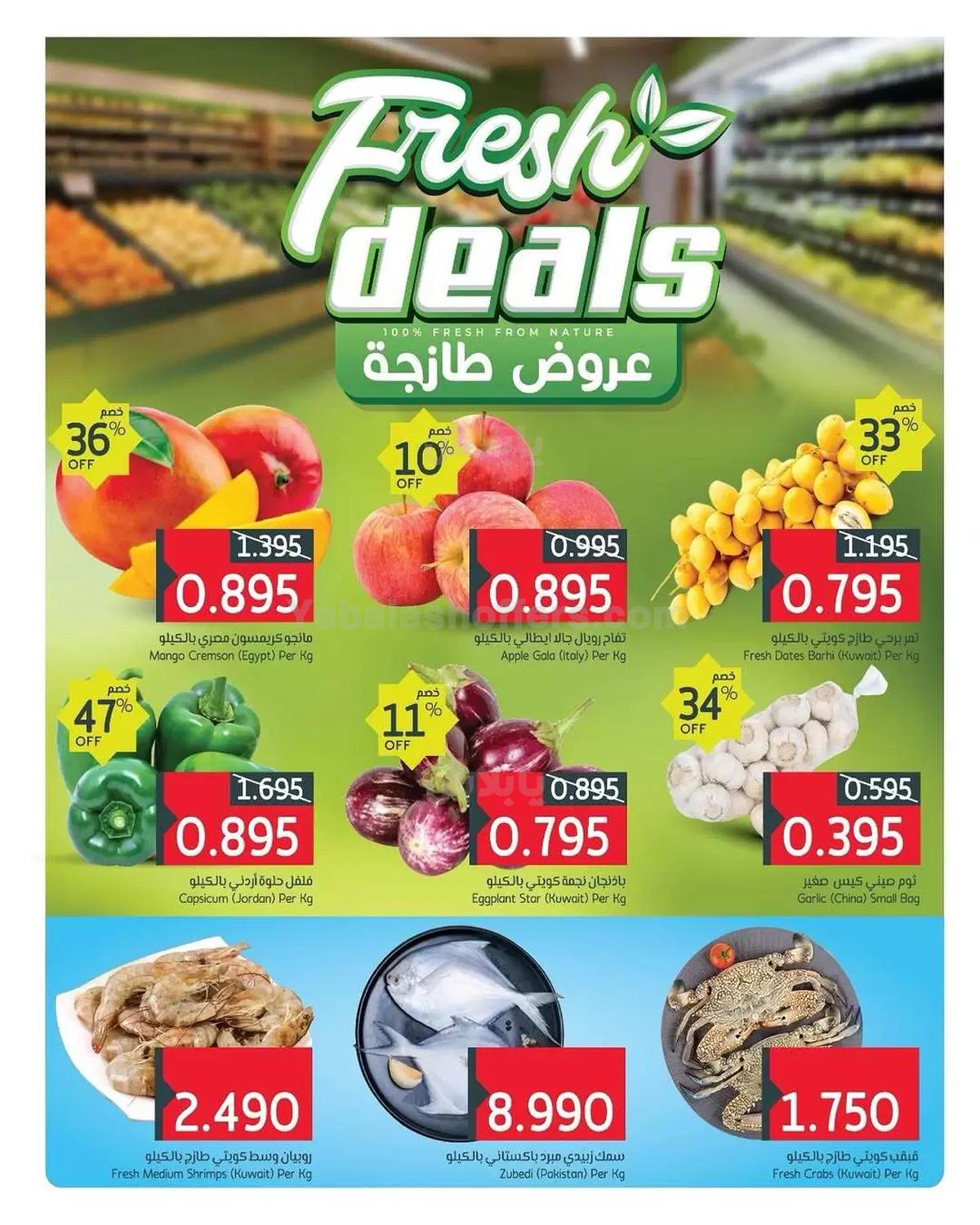 صفحة 2