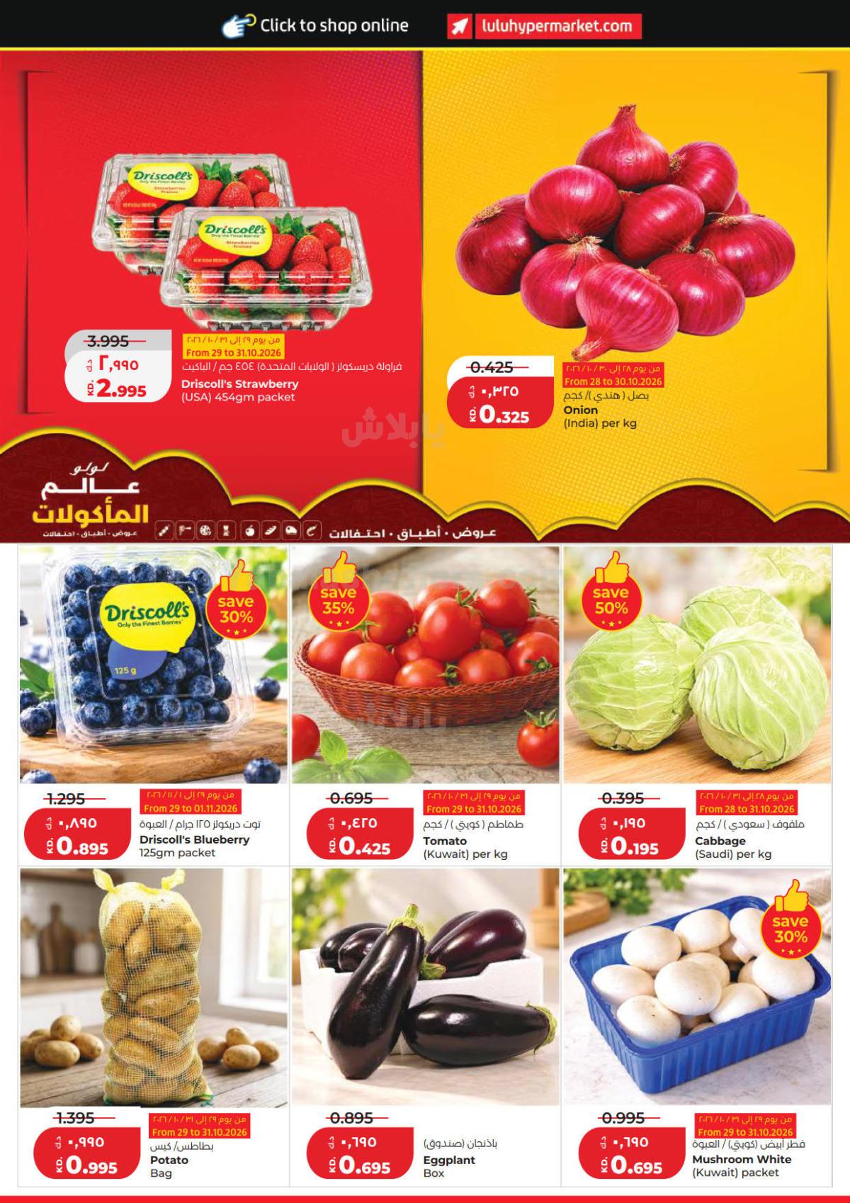 صفحة 24