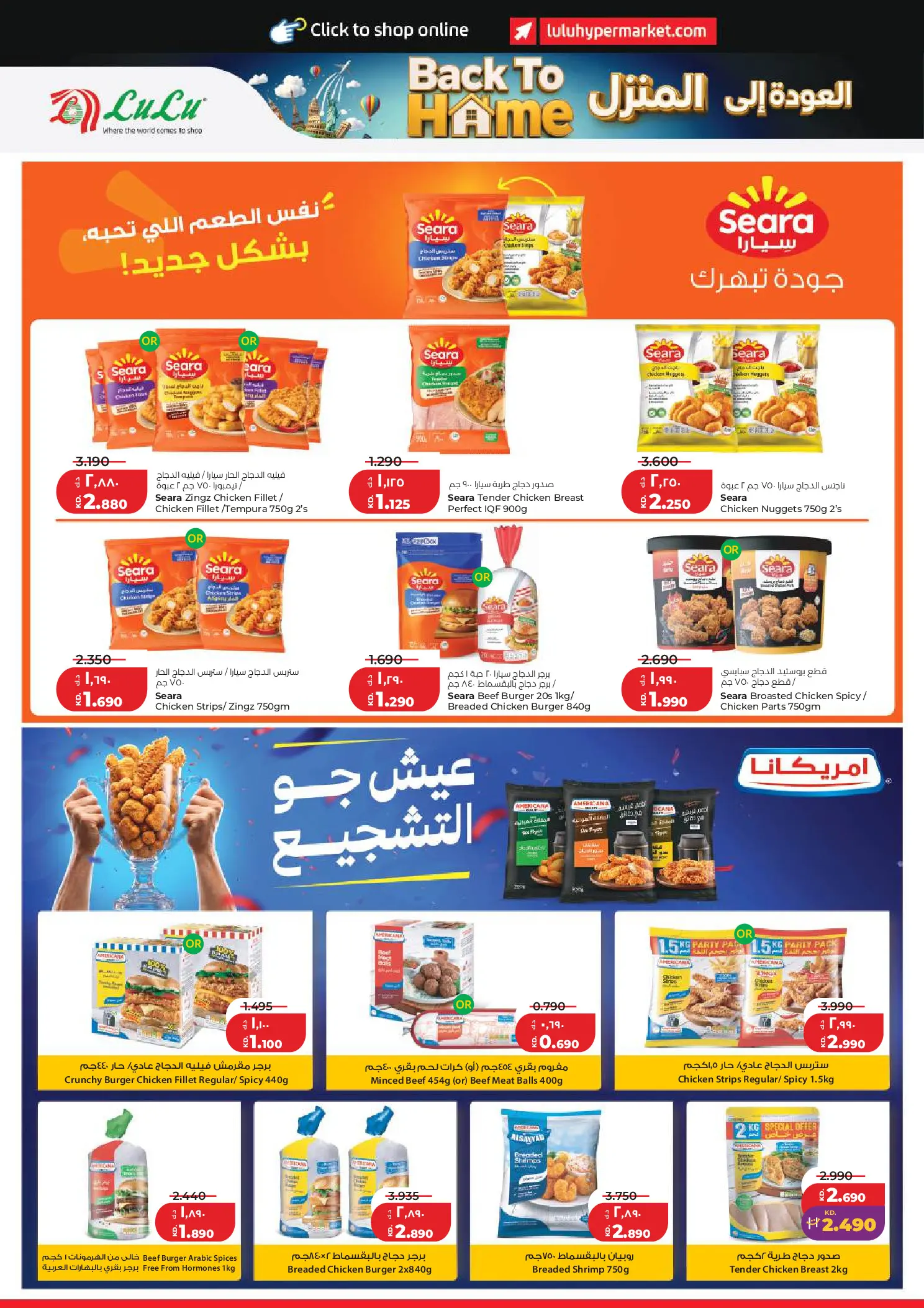 صفحة 12