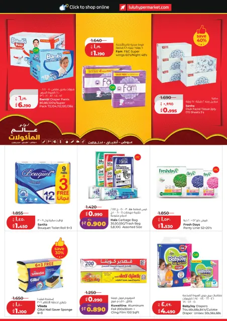 صفحة 29