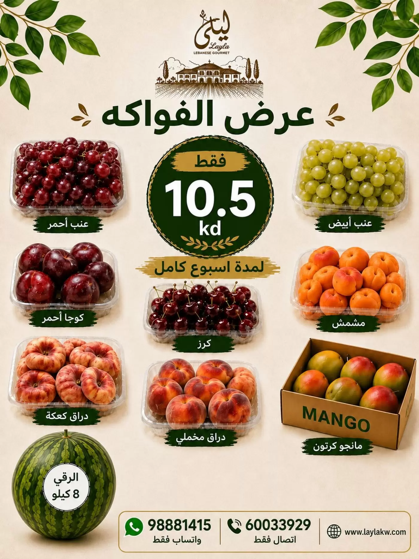 صفحة 1