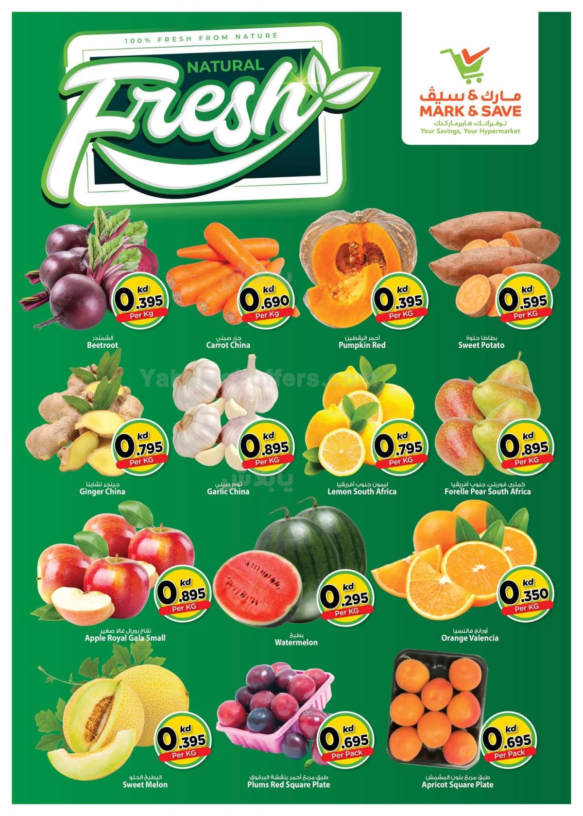 صفحة 2