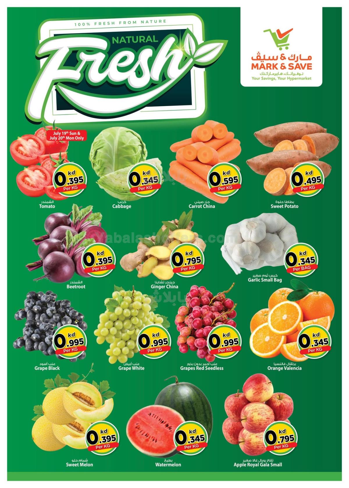 صفحة 2