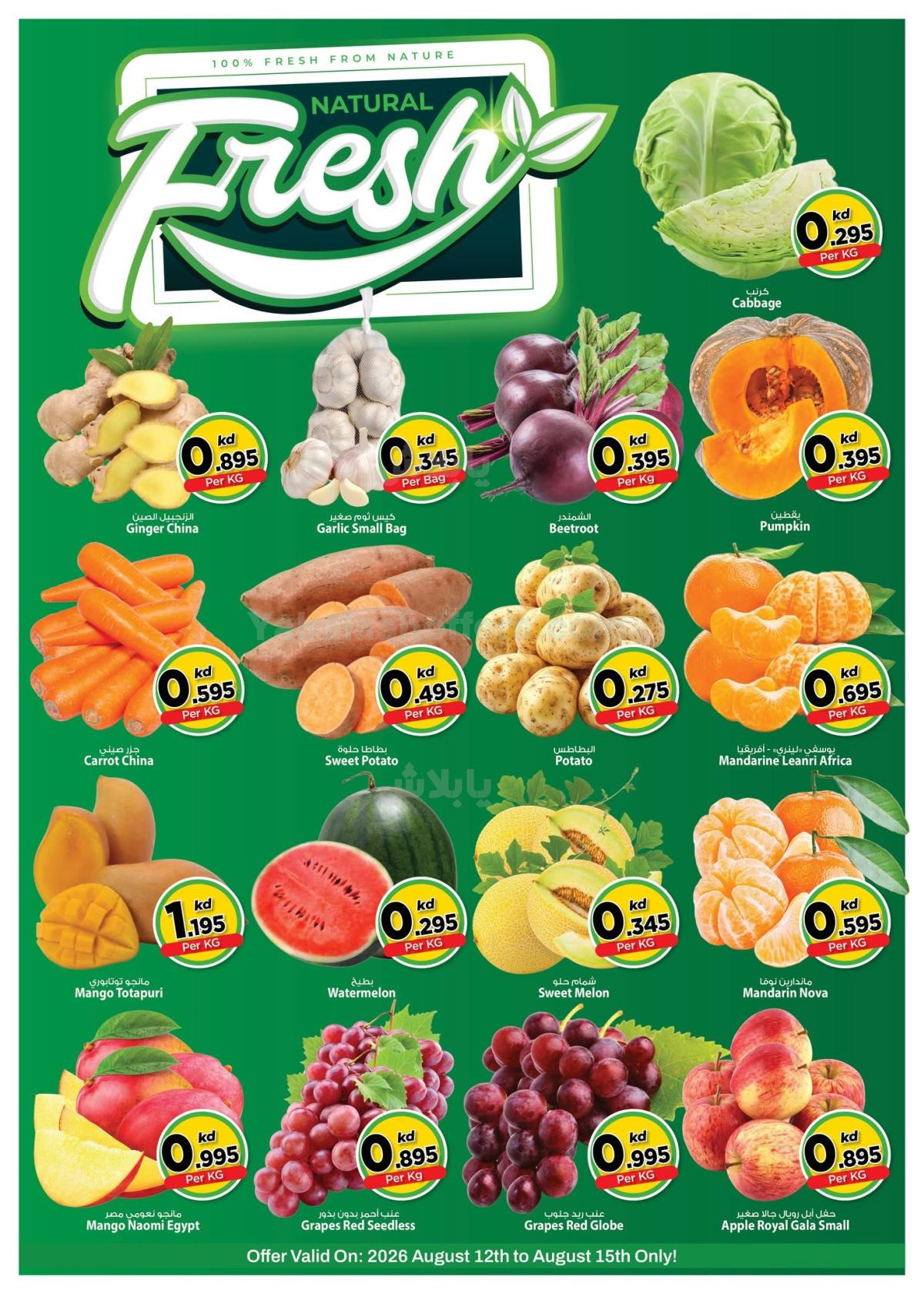 صفحة 2