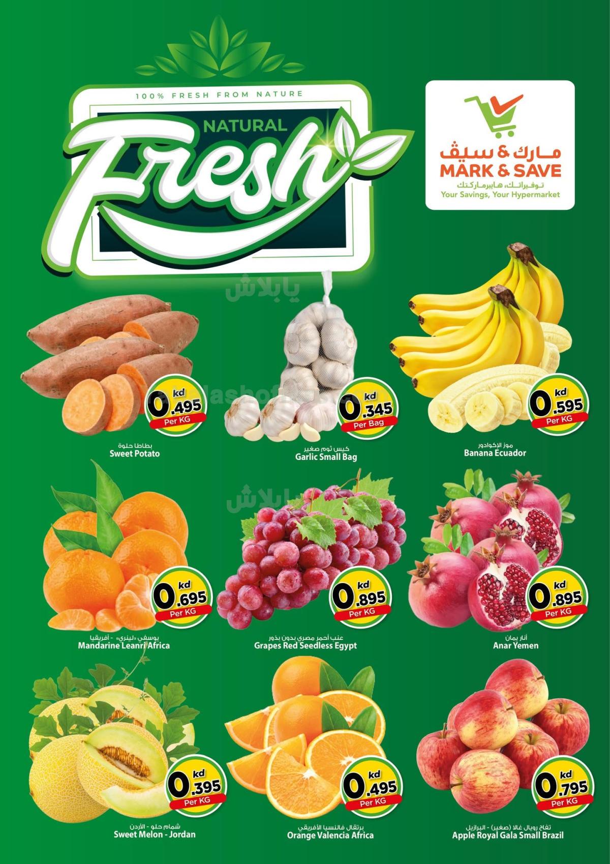 صفحة 2