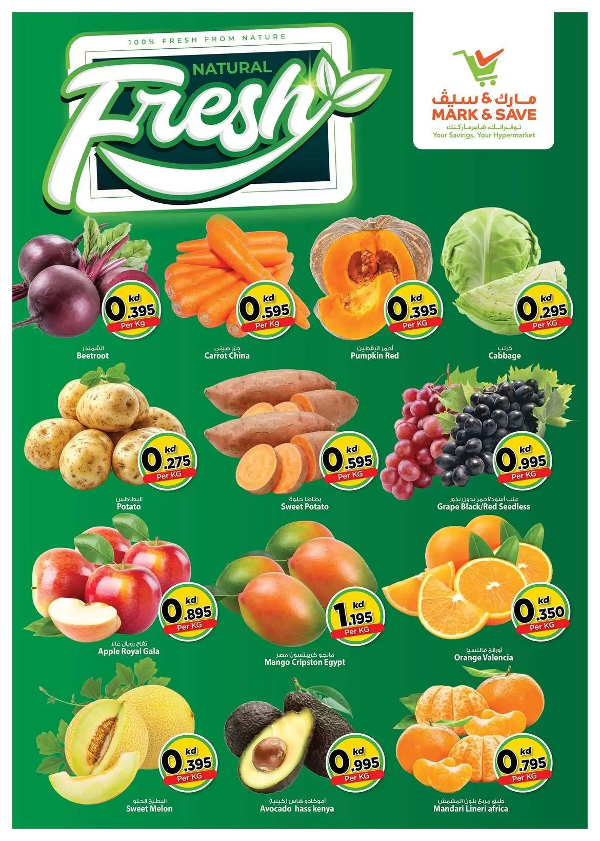صفحة 2