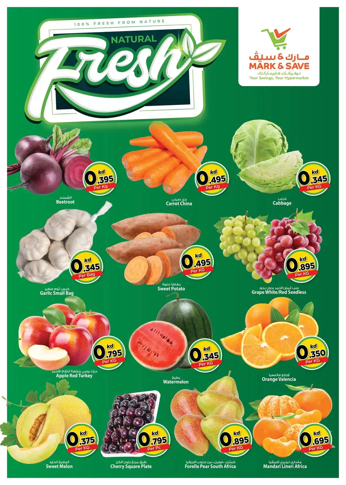 صفحة 2