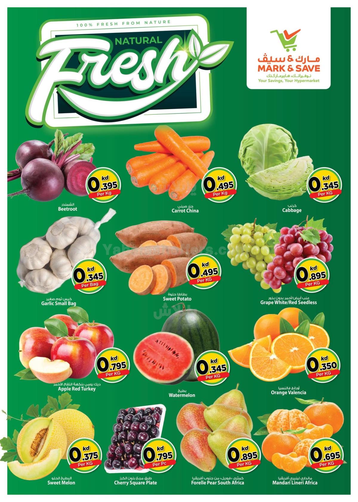 صفحة 2