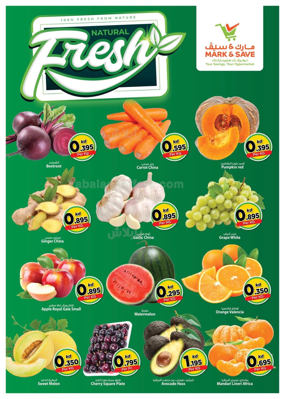 صفحة 2