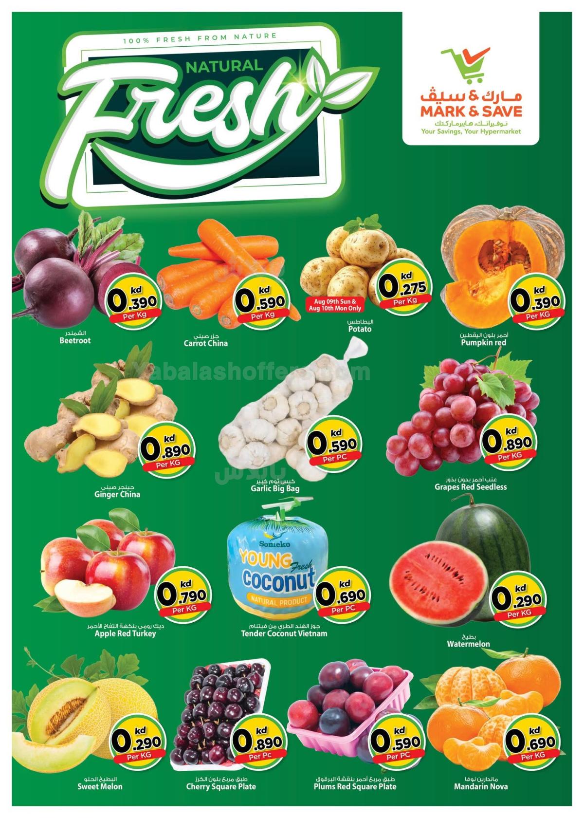 صفحة 2