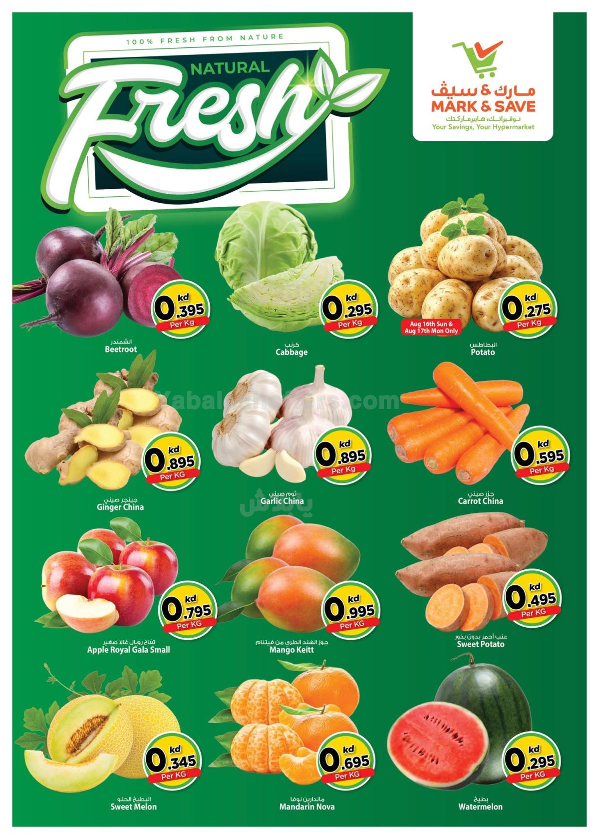 صفحة 2