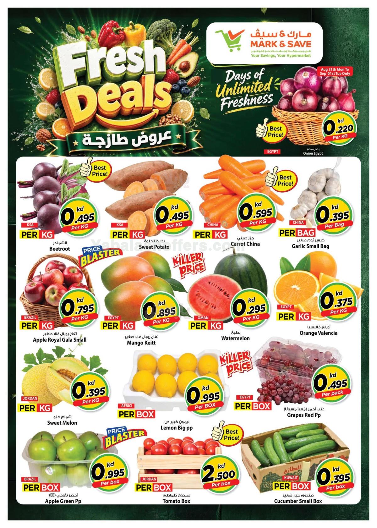 صفحة 3