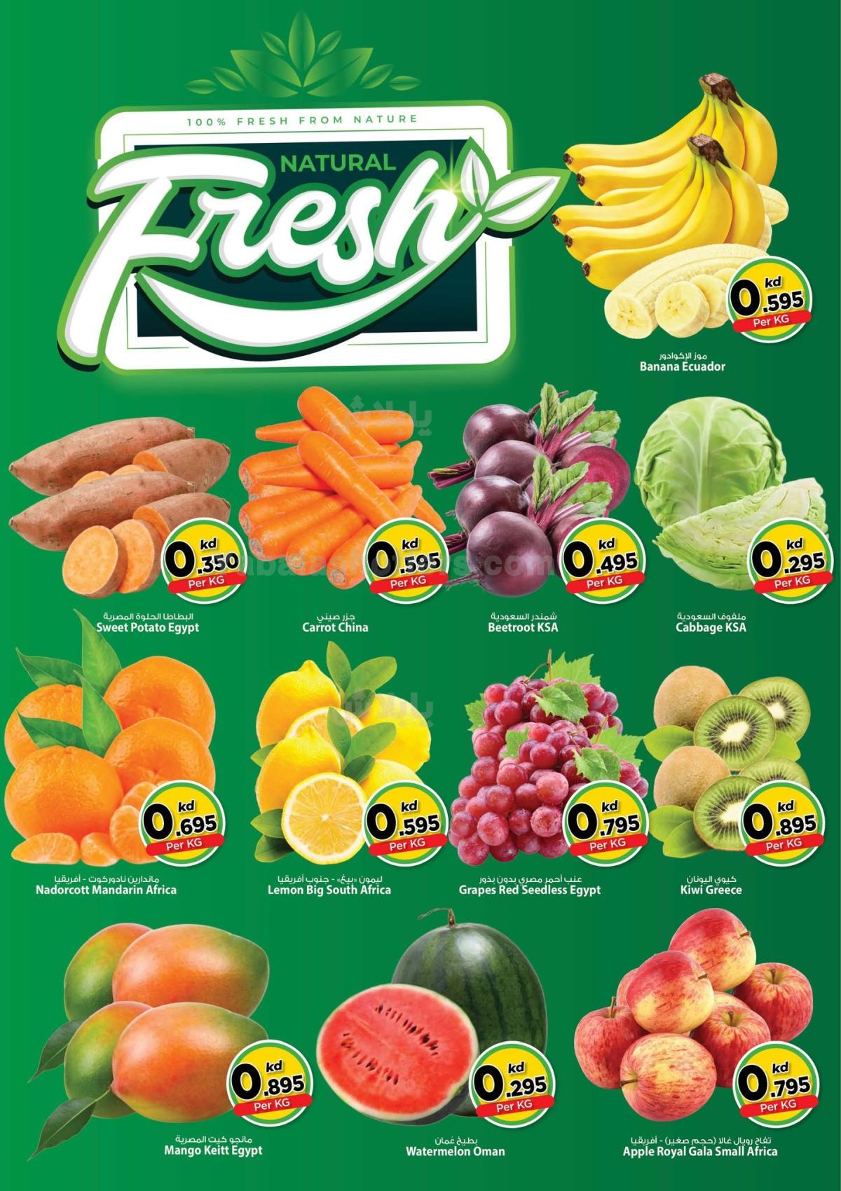 صفحة 2