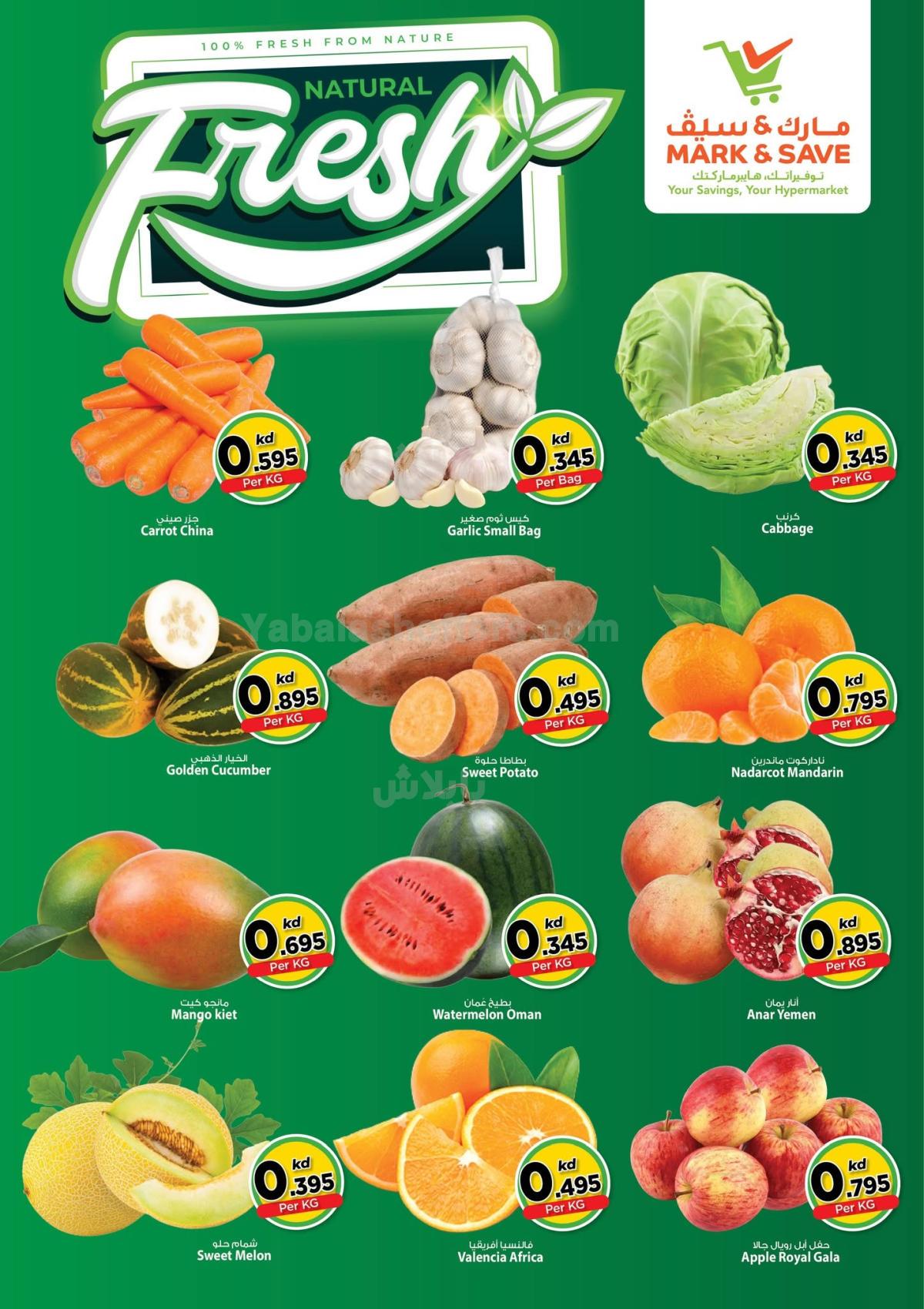صفحة 2