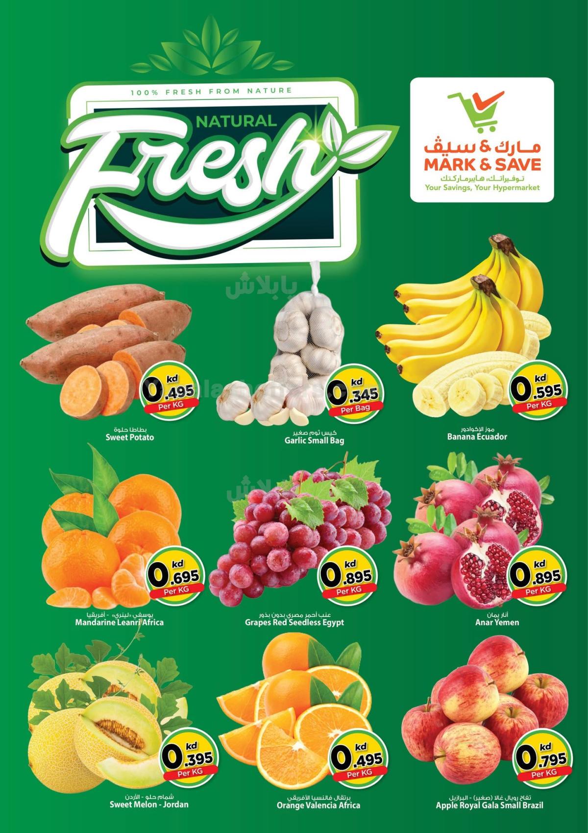 صفحة 2