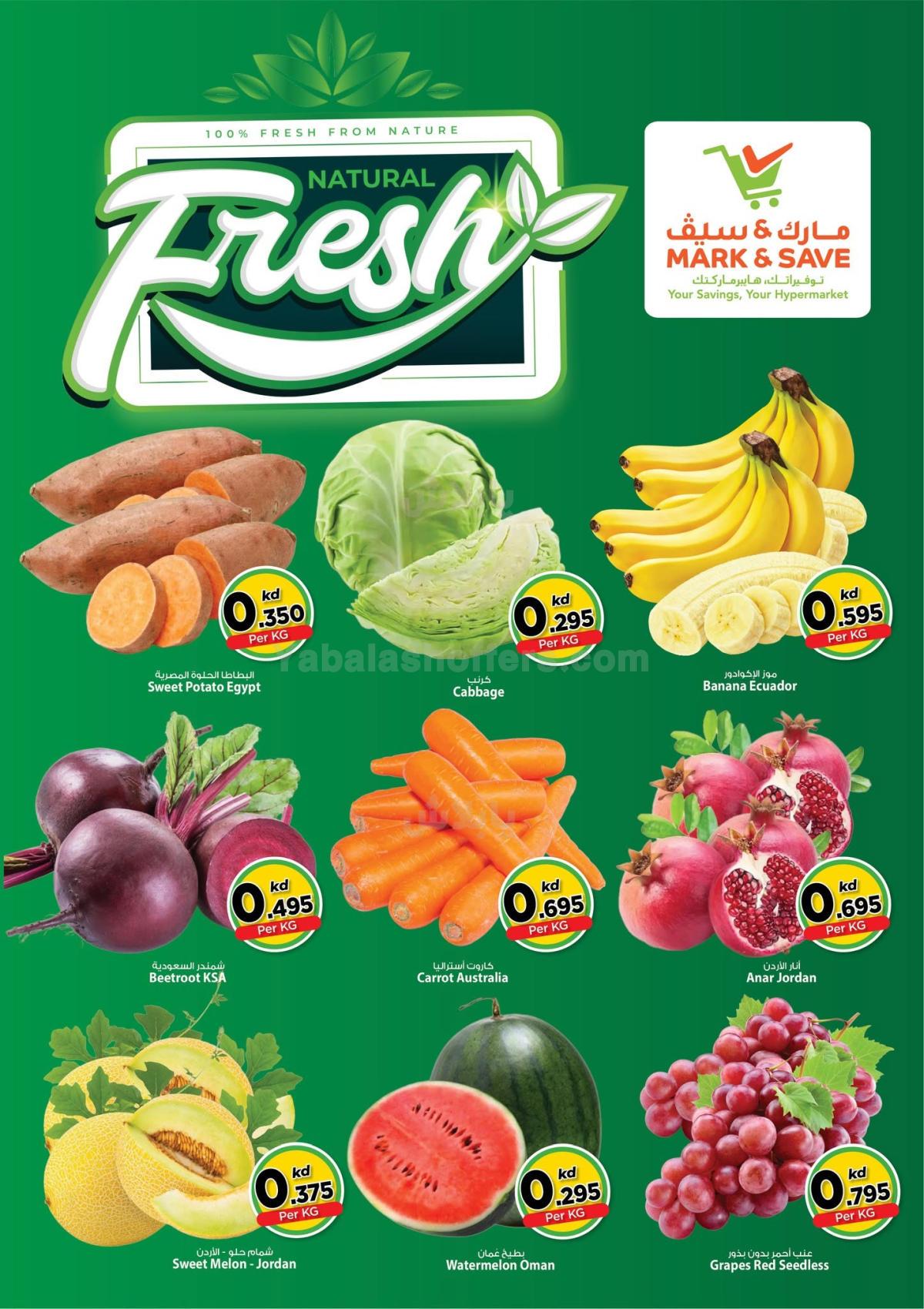 صفحة 2