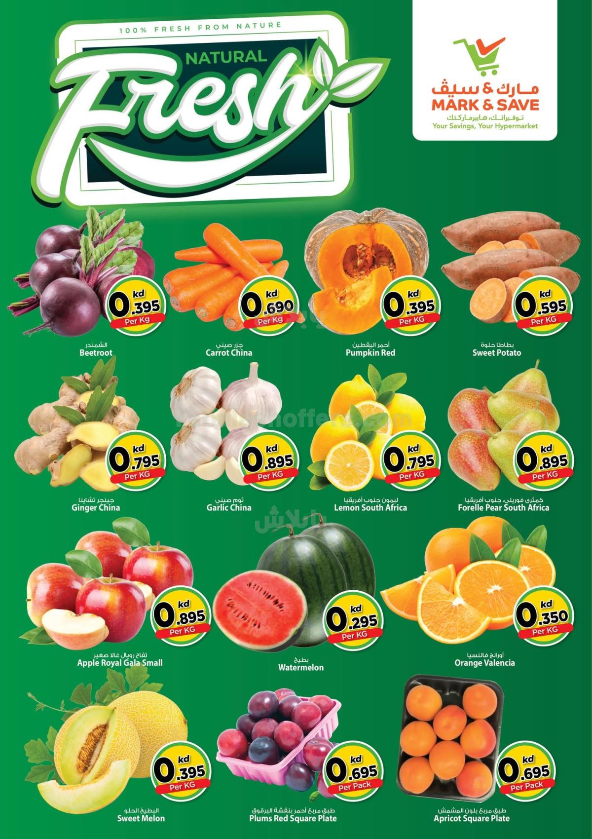 صفحة 2