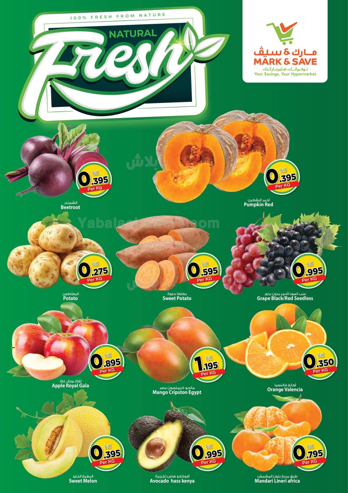 صفحة 2