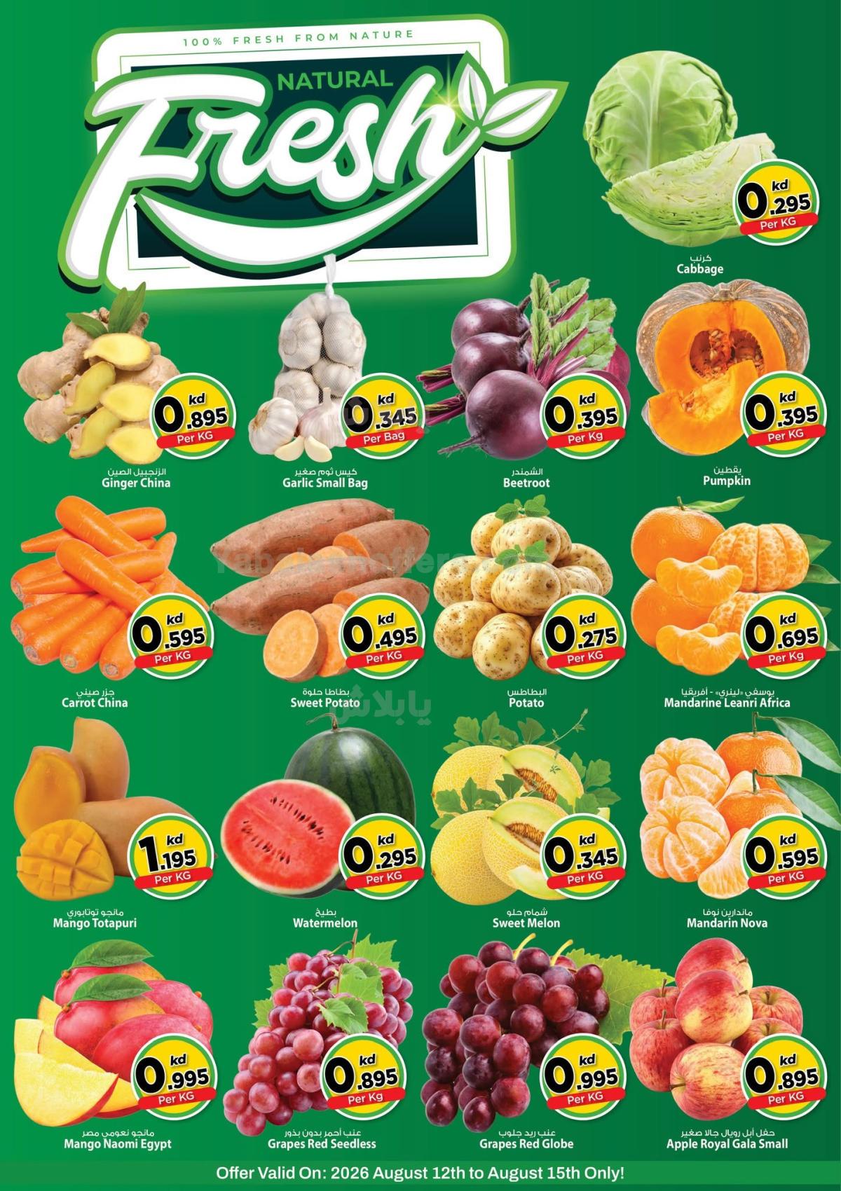 صفحة 2