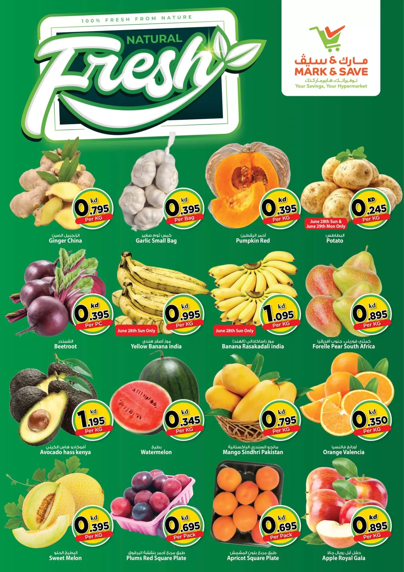 صفحة 2