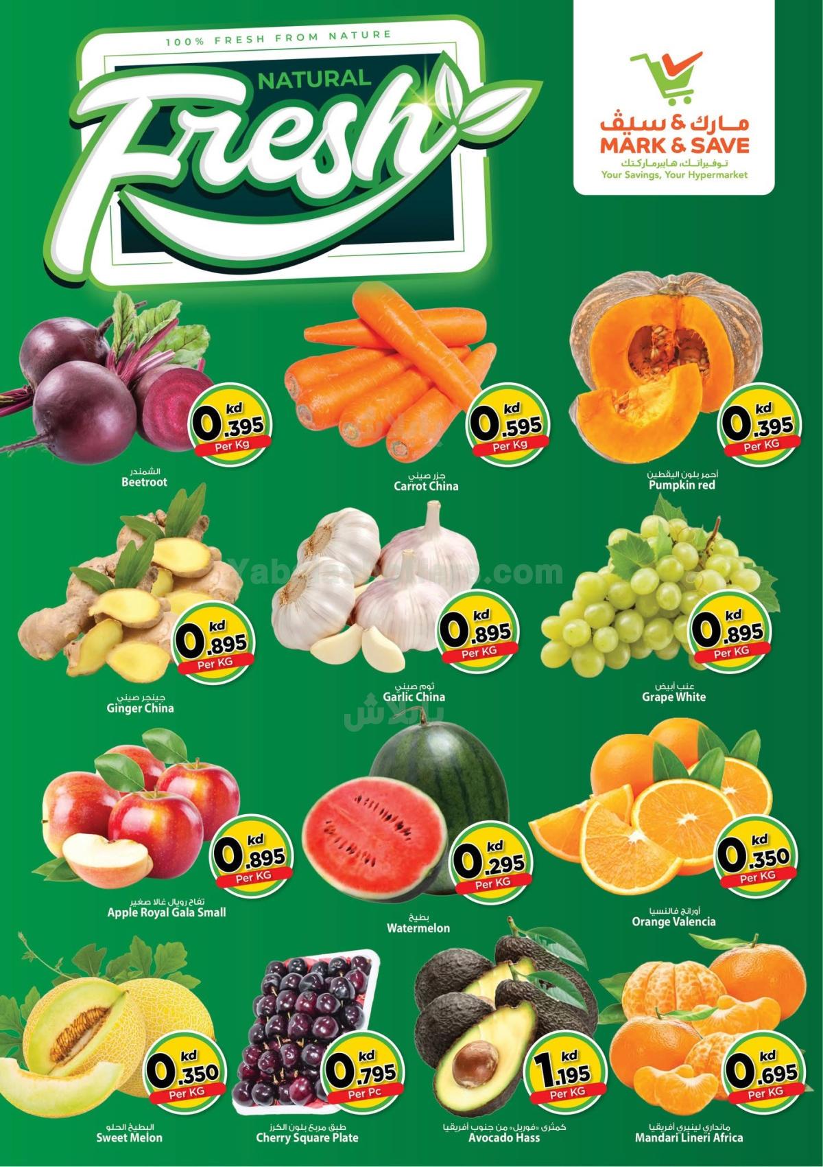 صفحة 2