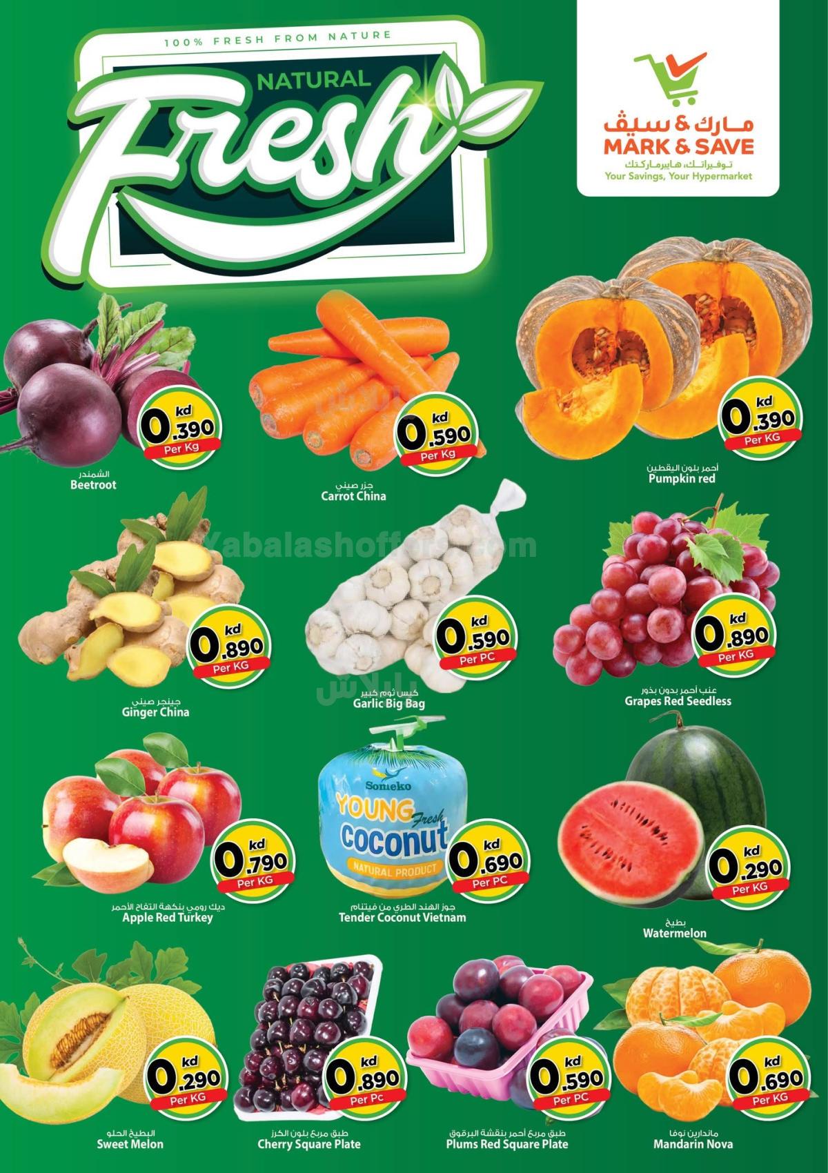 صفحة 2