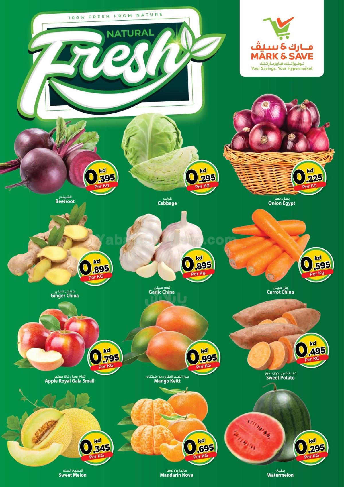 صفحة 2