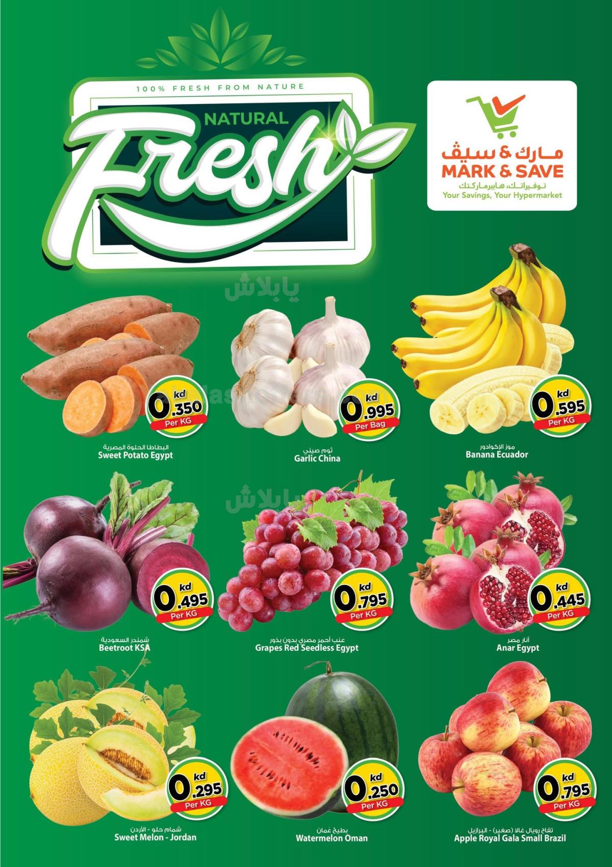 صفحة 2