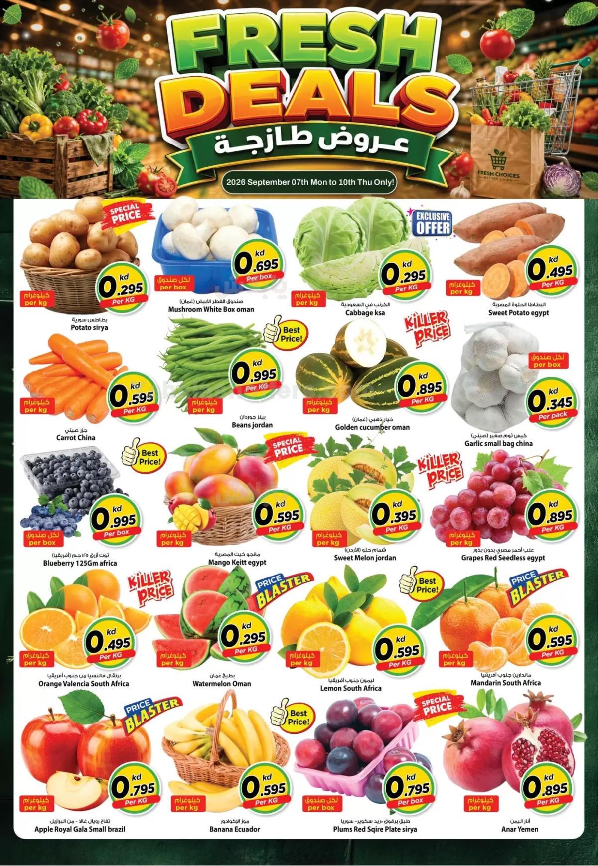صفحة 11