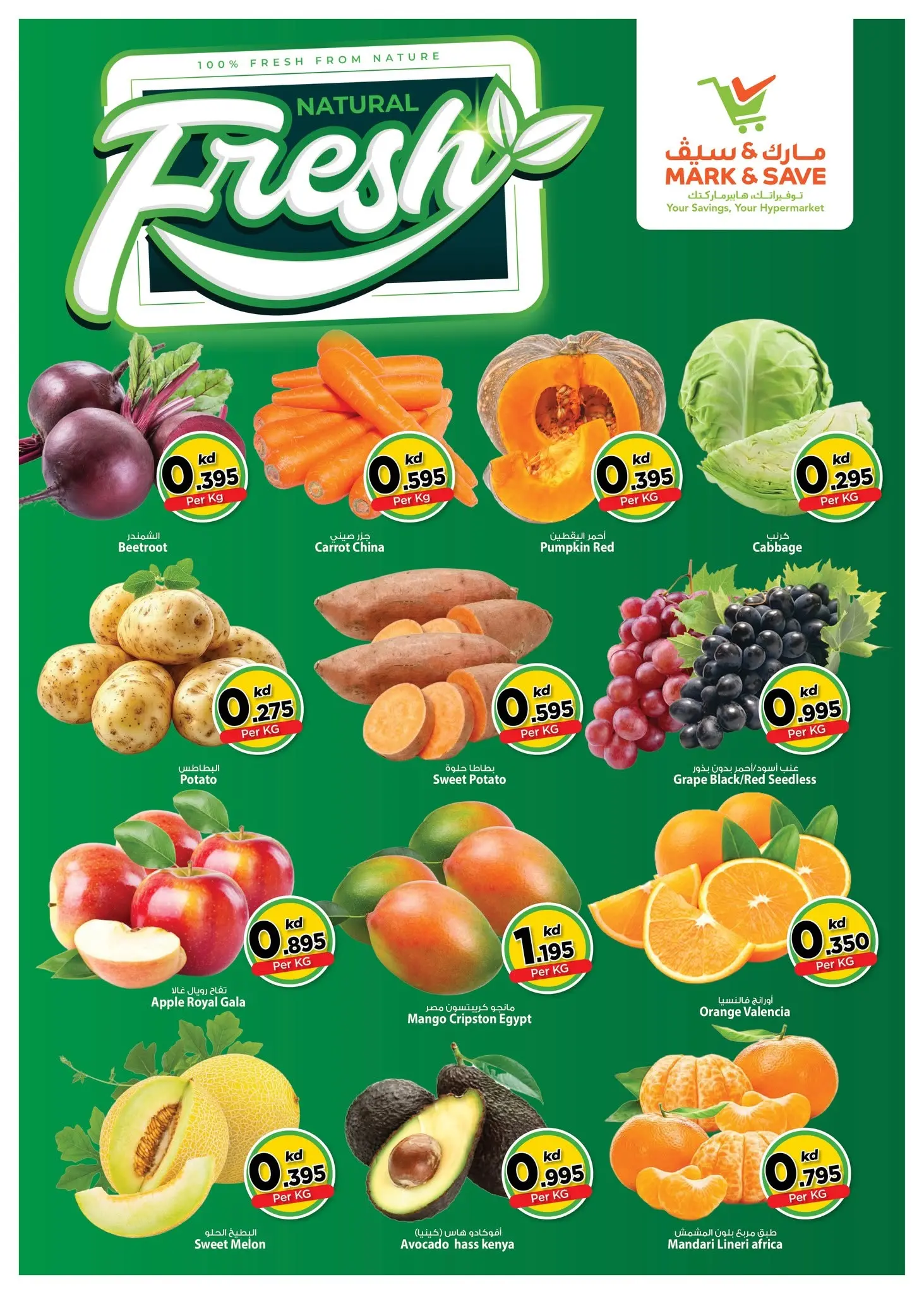 صفحة 2