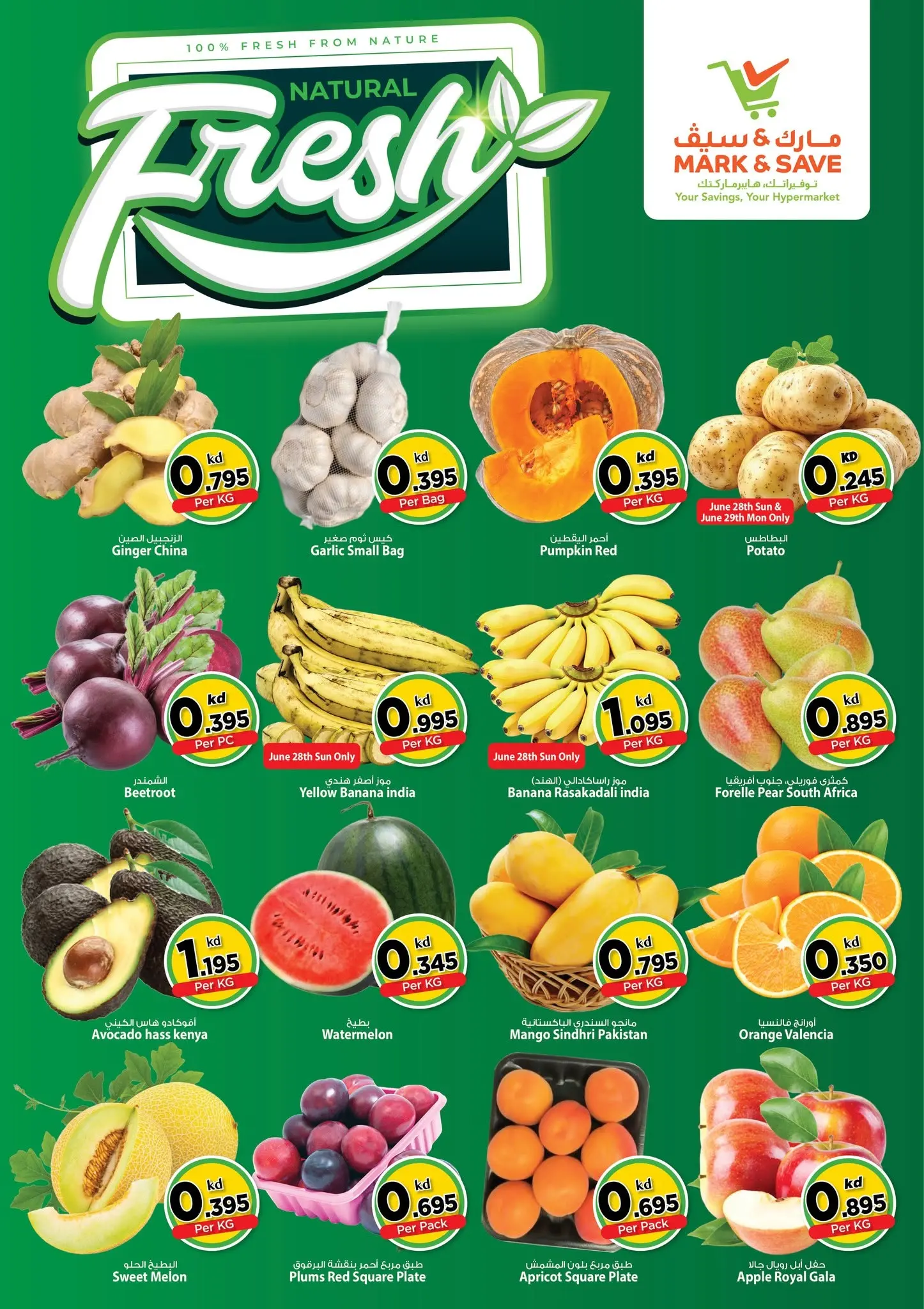 صفحة 2