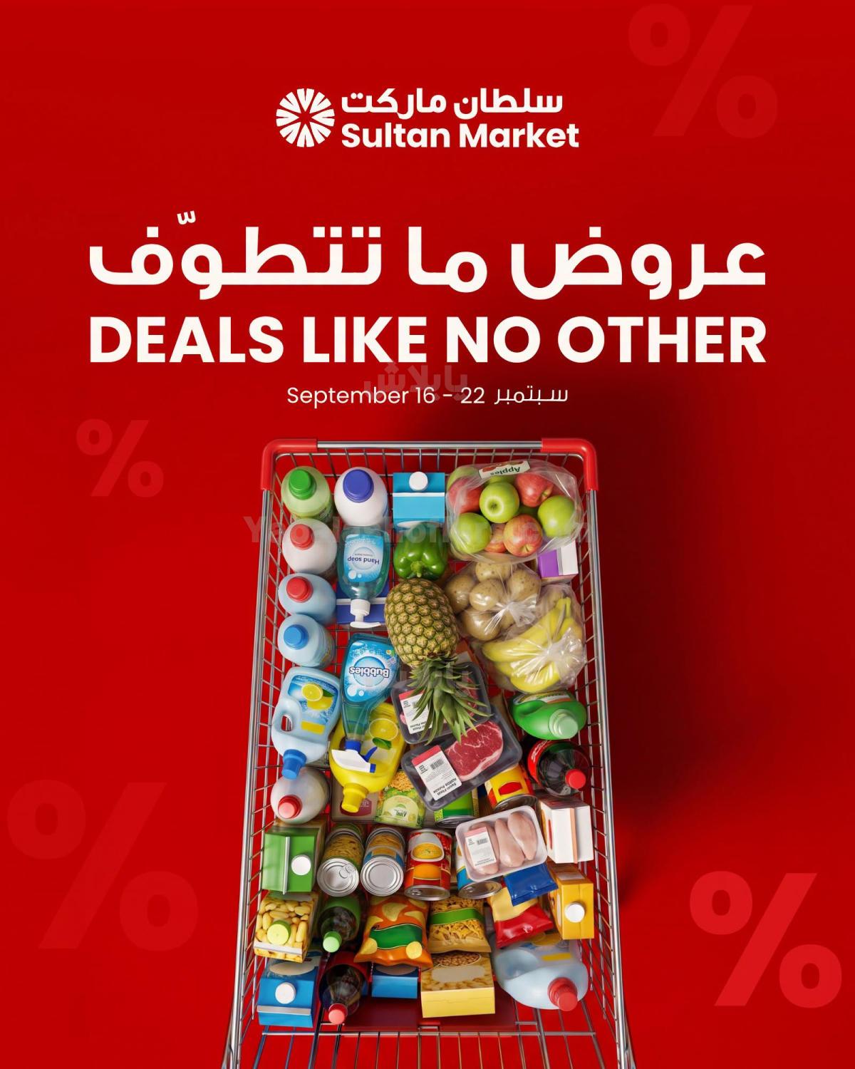 صفحة 1
