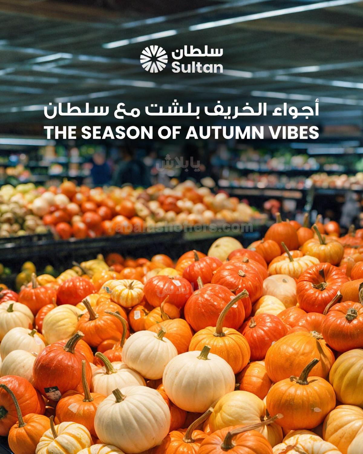 صفحة 1